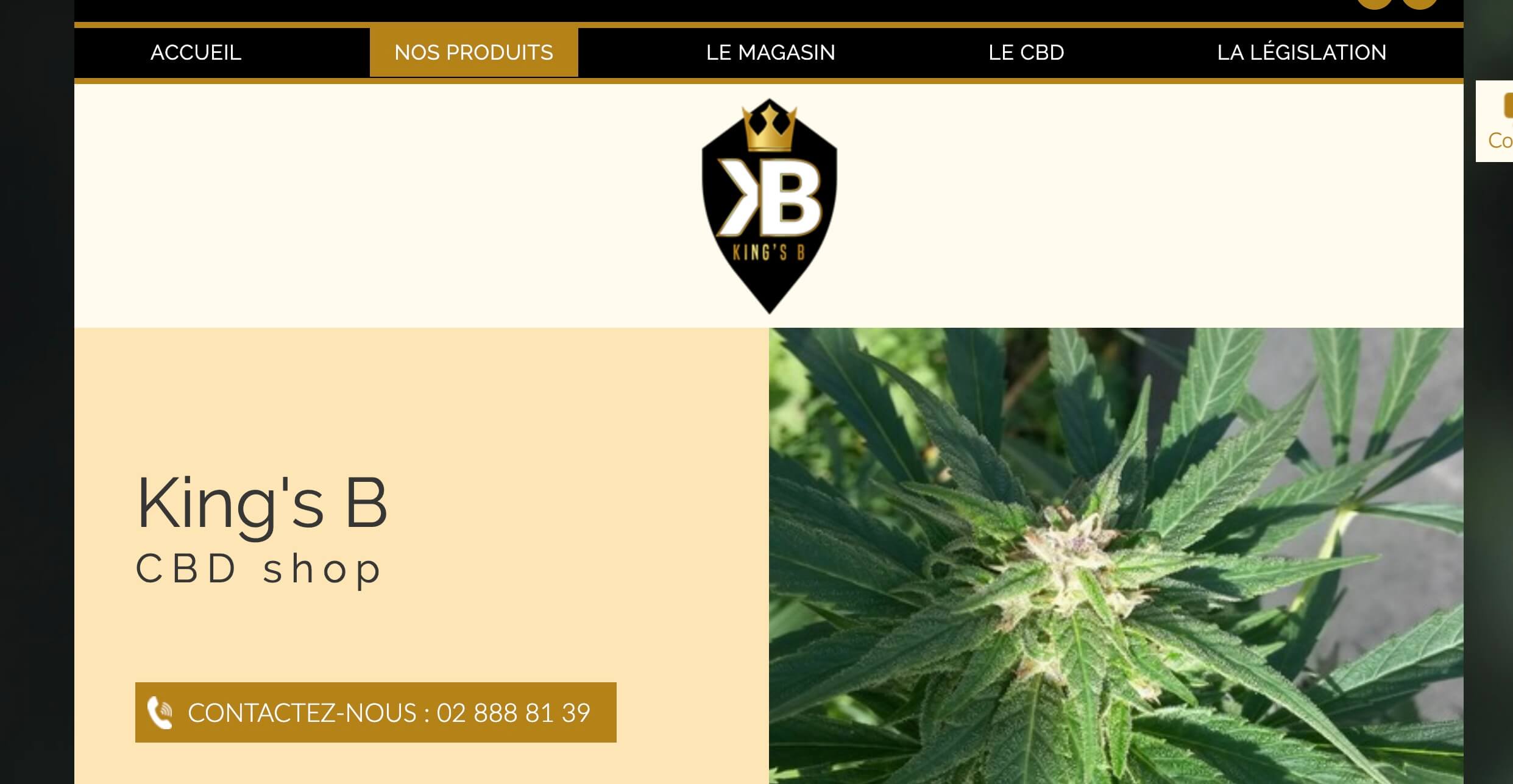 CBD le plus relaxant Belgique Bruxelles
